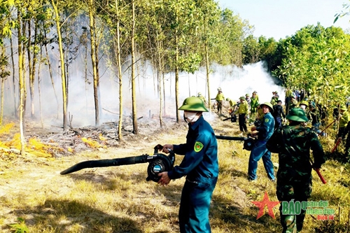 Quảng Ninh: Diễn tập phương án chữa cháy rừng năm 2023